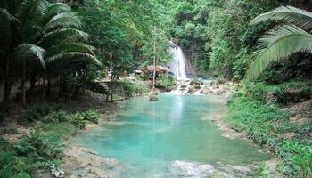 Photo of Kawasan Falls in Badian