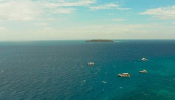 Photo of Marine Flora and Fauna Species in Sumilon Island