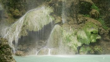 Photo of Tumalog Falls