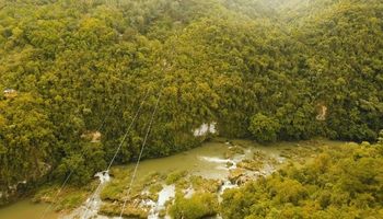 Zipline in Bohol - Adventure Above Paradise