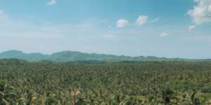 Coconut Mountain View in Siargao, Mindanao - Tropical Paradise