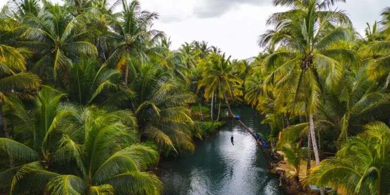 Maasin River, Siargao - Natural Beauty in Mindanao