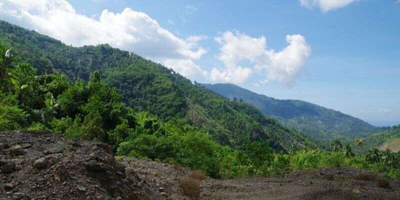 Photo of Mount Hamiguitan Range Wildlife Sanctuary, Mindanao Tourist Spots