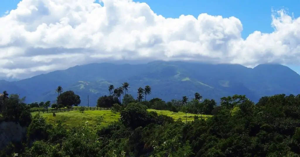 Photo of PUERTO GALERA