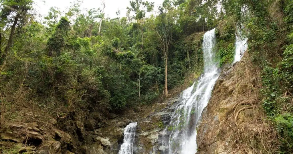 Photo of Tamaraw Falls