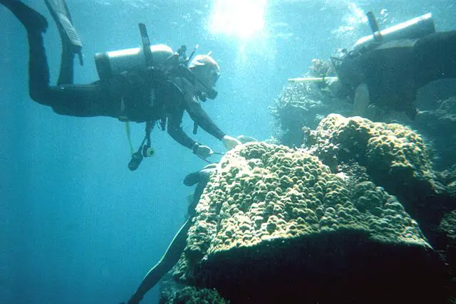 Photo of Scuba Diving in Coron