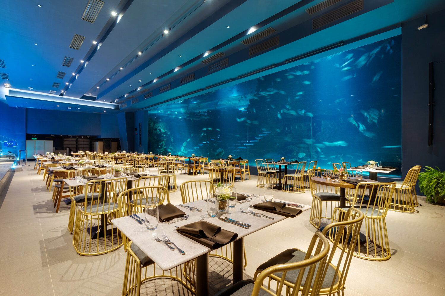 Photo of Photo of "Underwater Dining" at Cebu Ocean Park