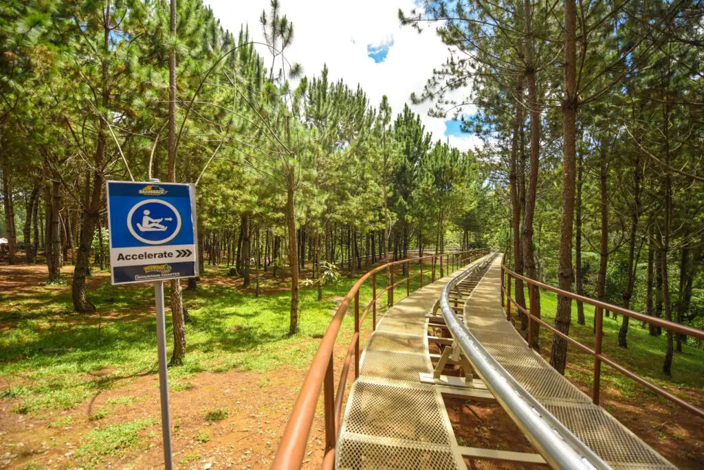 Photo of THE RAZORBACK MOUNTAIN COASTER