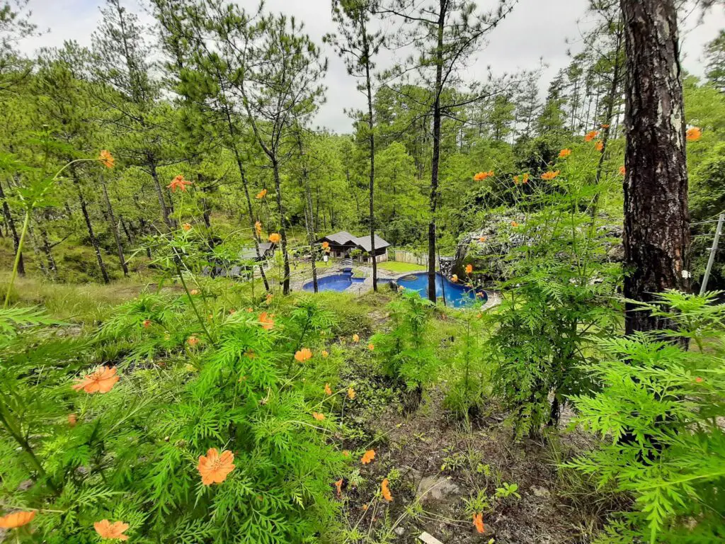 Photo of Swimming Pools of Sagada Blue Mountain Cabins