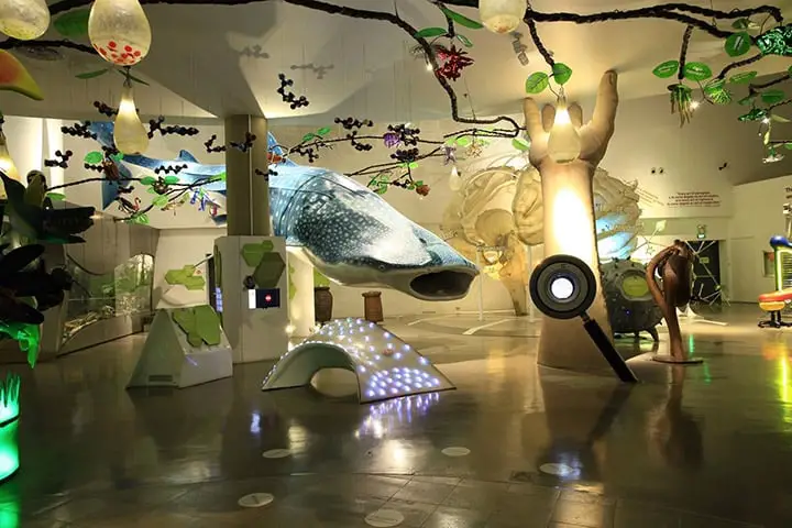 An immersive exhibit at The Mind Museum showcasing interactive displays and engaging science experiments.