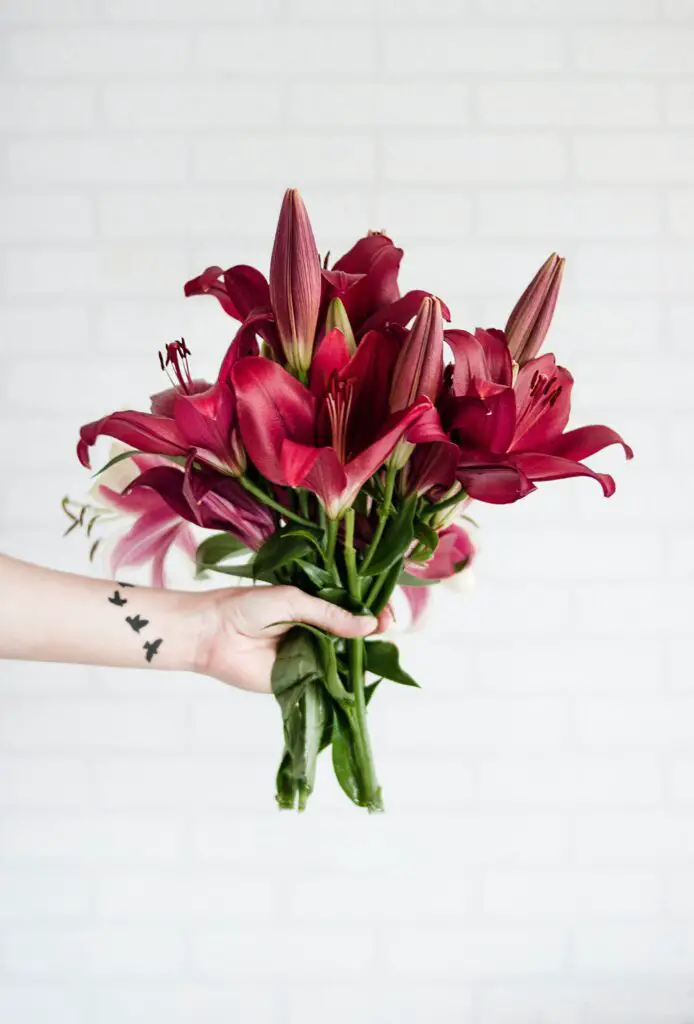 Photo of Valentine's Day Flower / Valentine's Day Gift Ideas