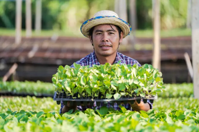 30 Innovative Business Ideas to Start in the Philippines in 2024