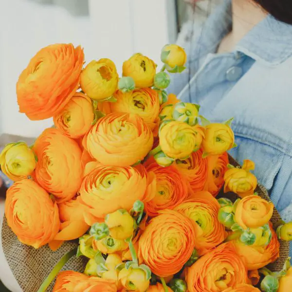 Flower Power: The Ultimate Guide to Choosing the Best Online Flower Shops in the Philippines
