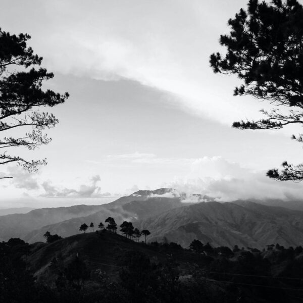 a grayscale of mountains and trees