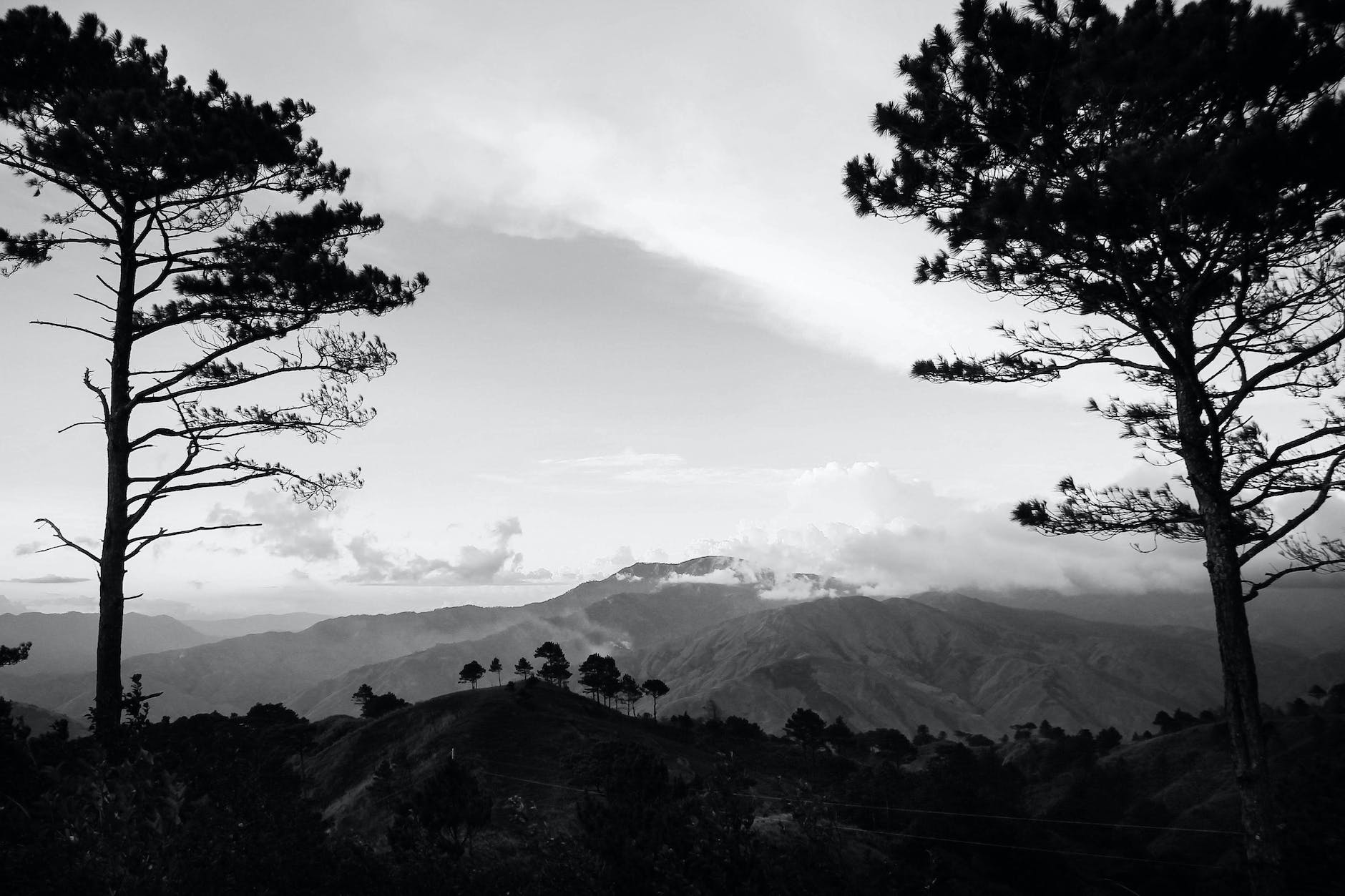 a grayscale of mountains and trees