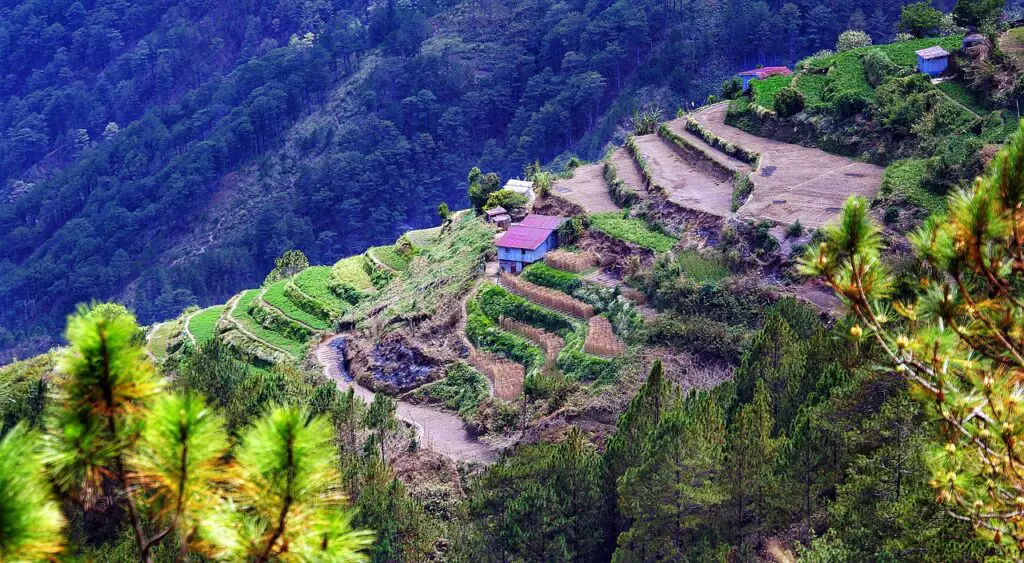 A captivating photo of the iconic Rice Terraces in Ifugao, Philippines.