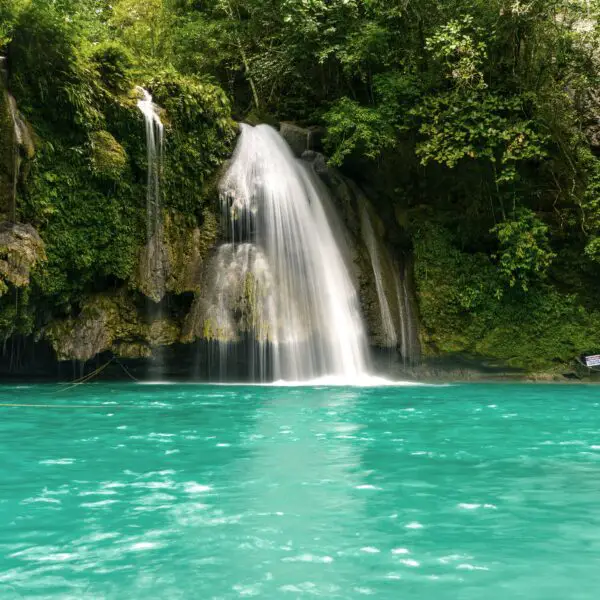 Breathtaking Kawasan Falls in Cebu