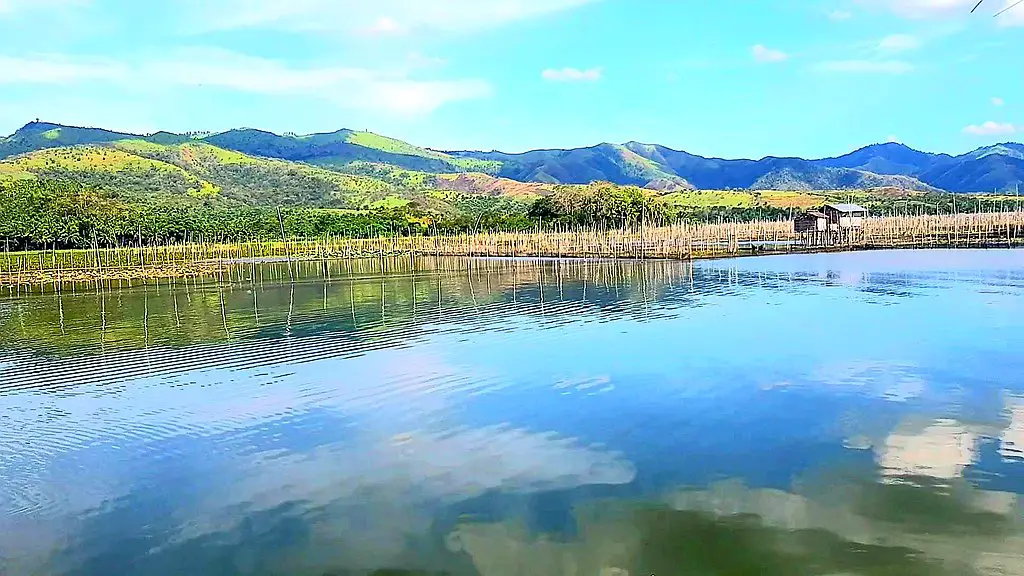 Idyllic view of Lake Buluan surrounded by lush greenery.