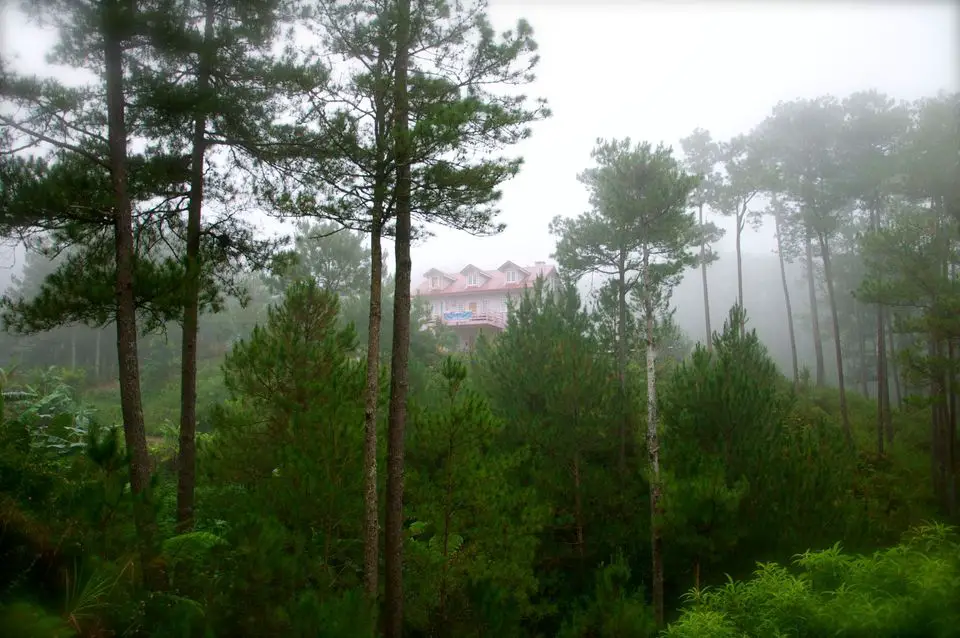 Misty Lodge and Cafe in Sagada, Philippines