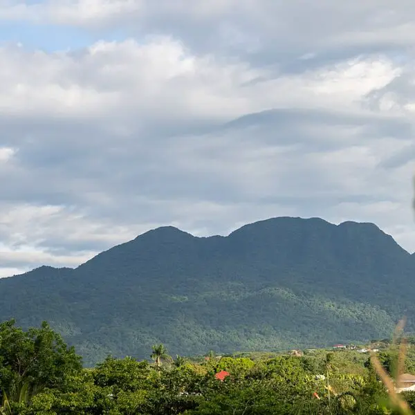 Majestic view of Mount Makiling surrounded by lush greenery.