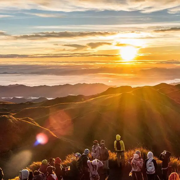 Majestic view from the summit of Mount Pulag.