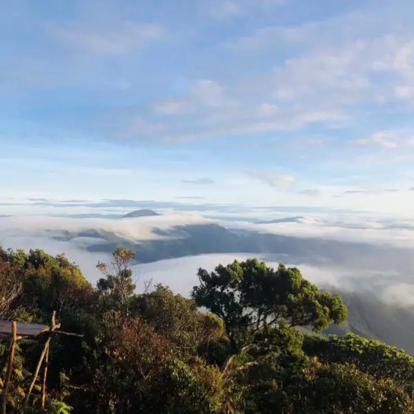 Mount Napulauan