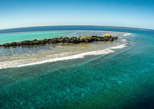 Apo Reef Natural Park