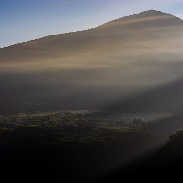 mt-lumot-sumagaya