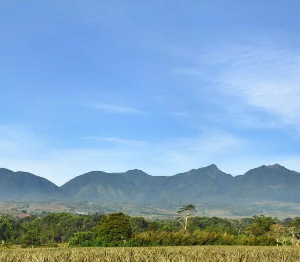 Mount Kitanglad Range Natural Park