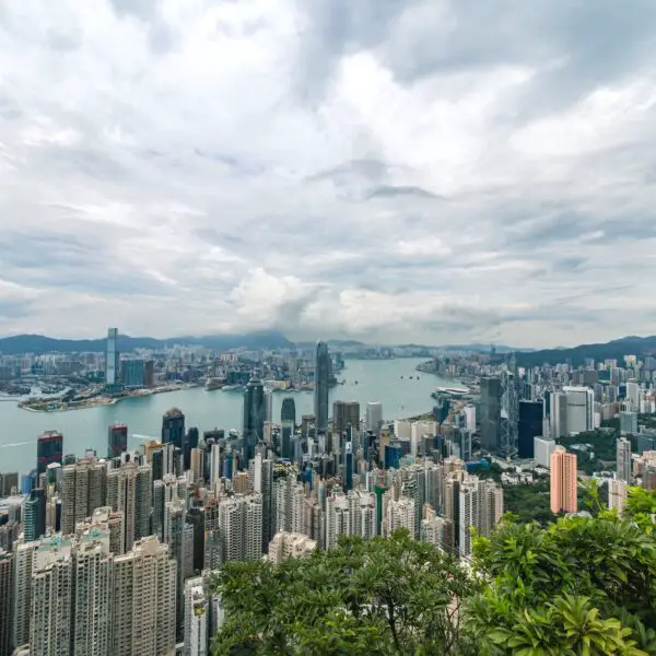 city buildings and green trees near ocean