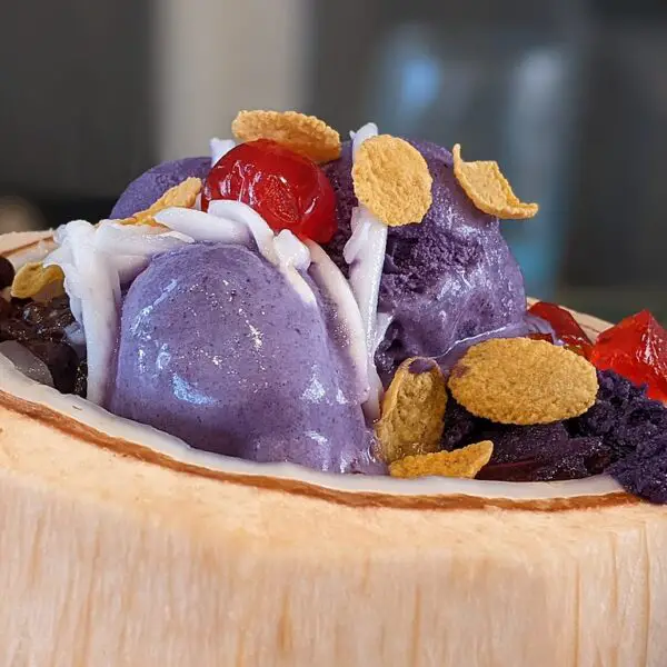 Halo-Halo